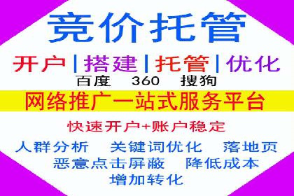 实战解析：SEM网络推广成功案例分享